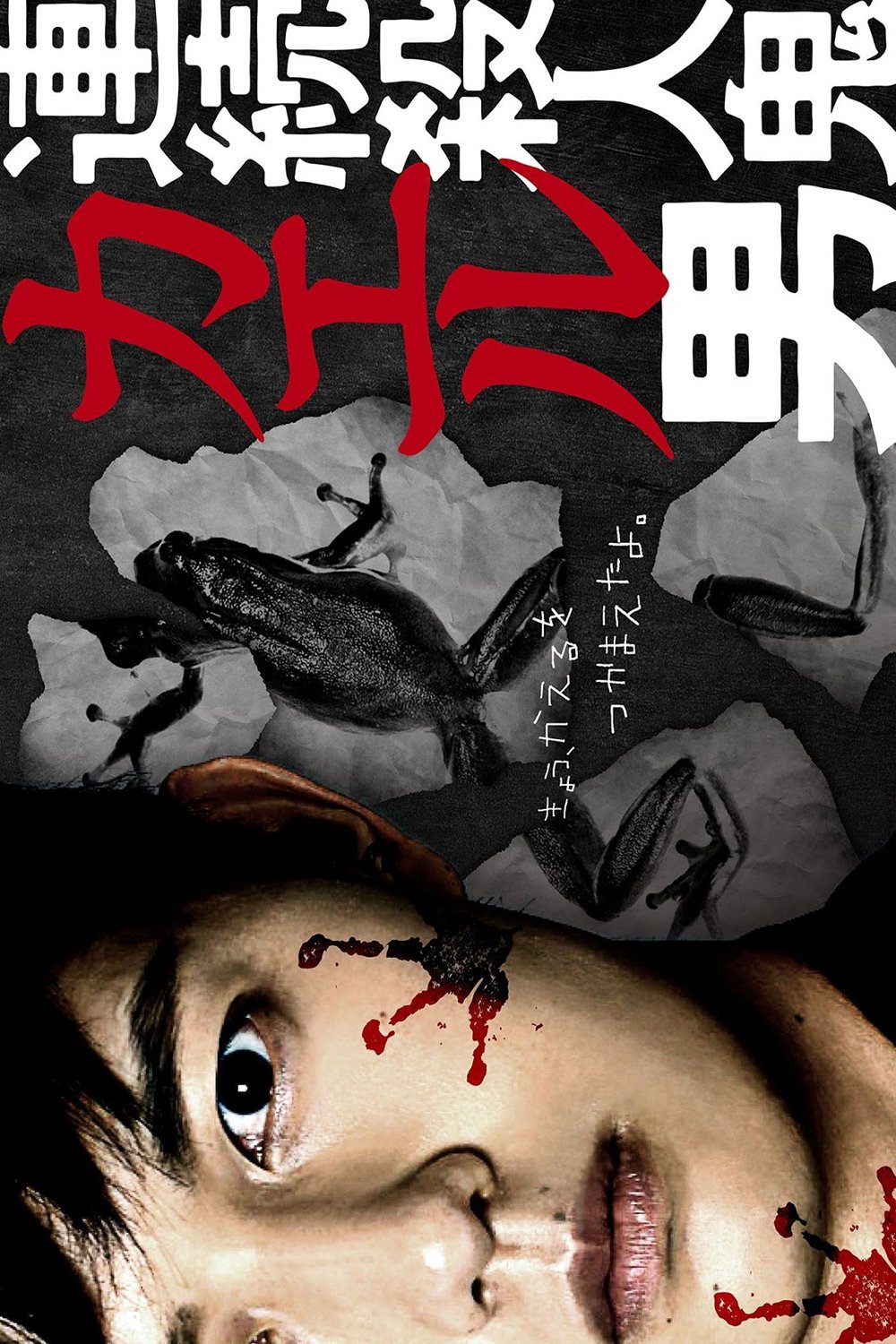Poster de 連続殺人鬼カエル男