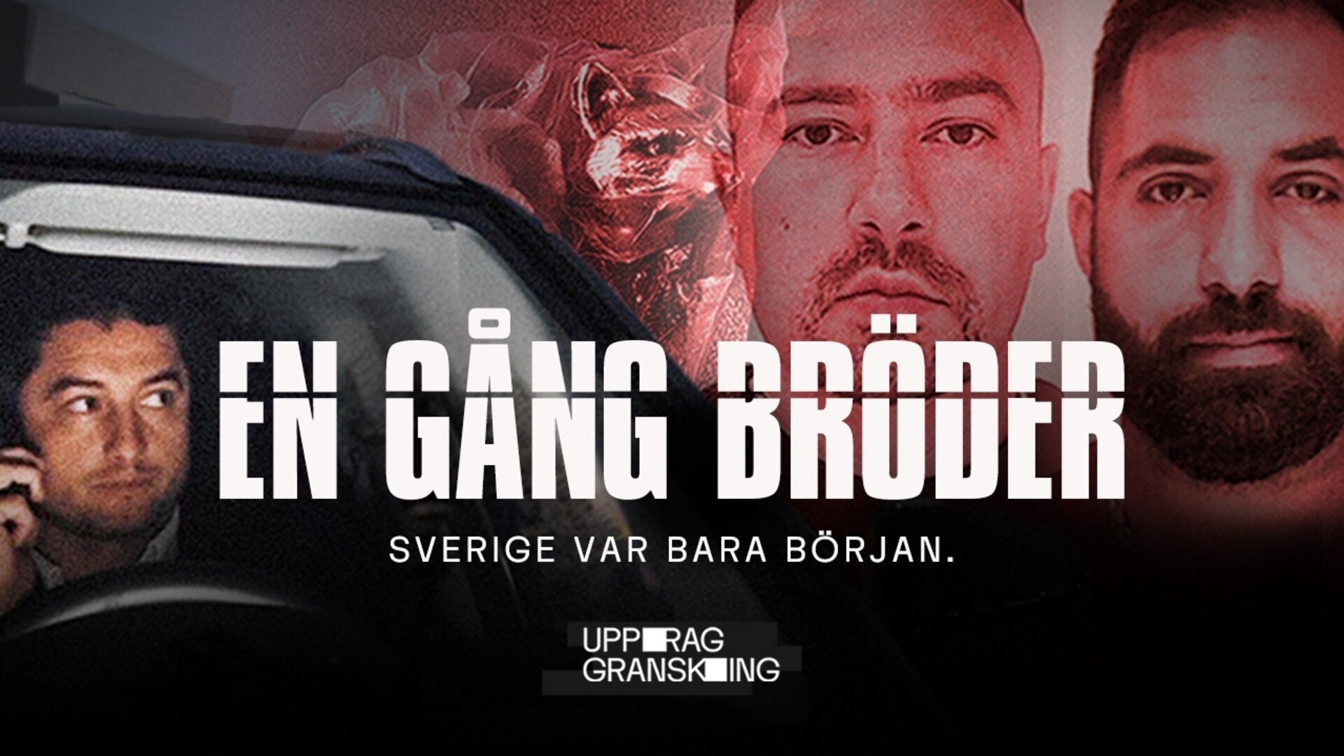 Uppdrag Granskning : En gång bröder