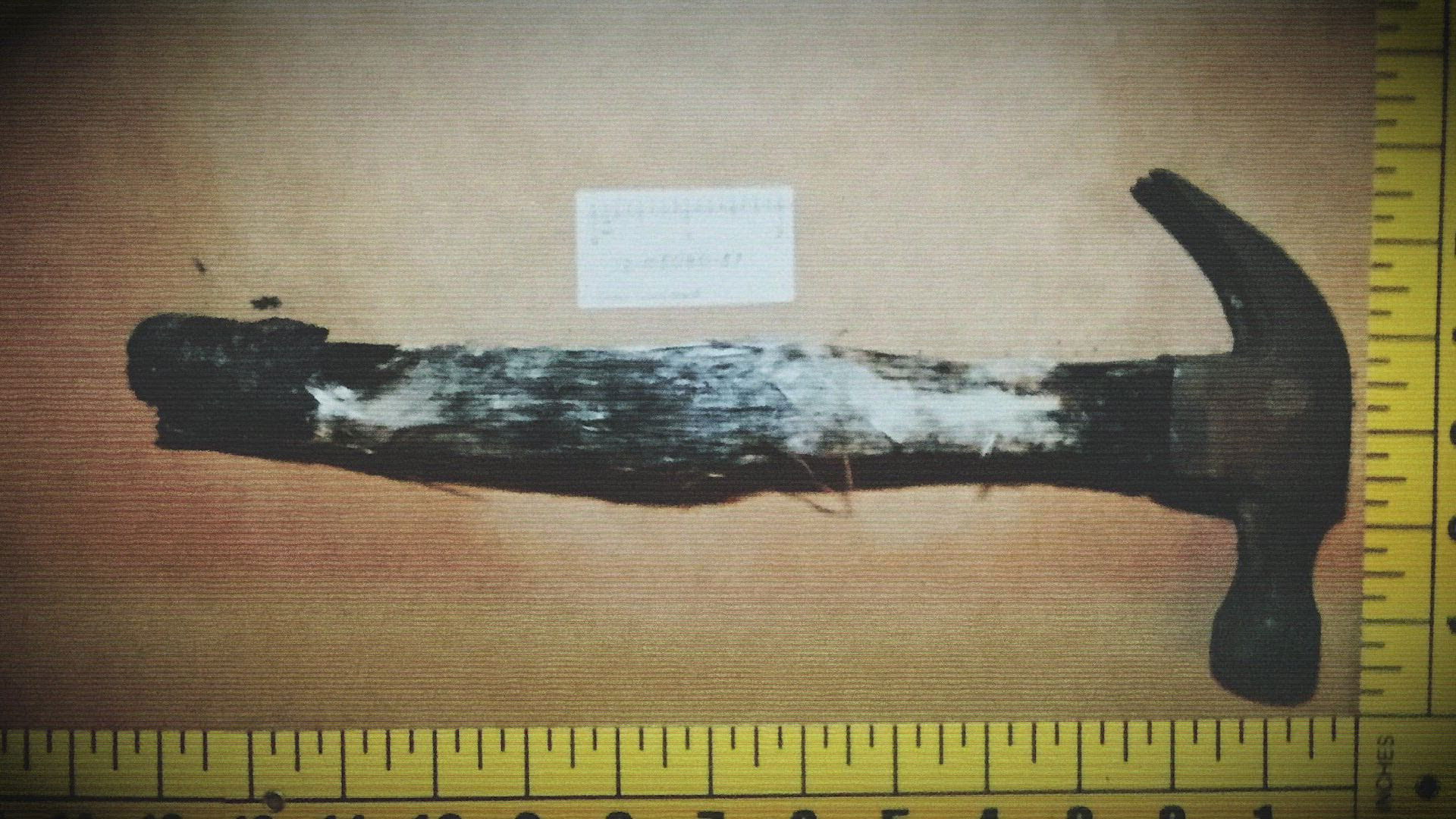 Mystery in the Blueberry Fields