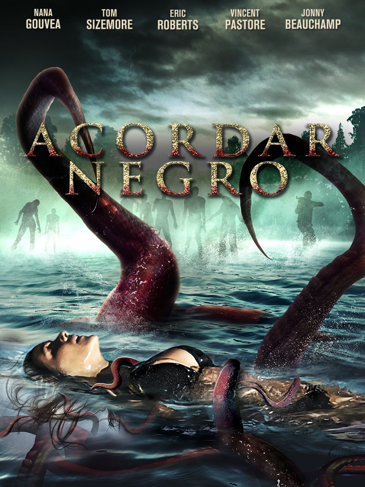Poster de Acordar Negro