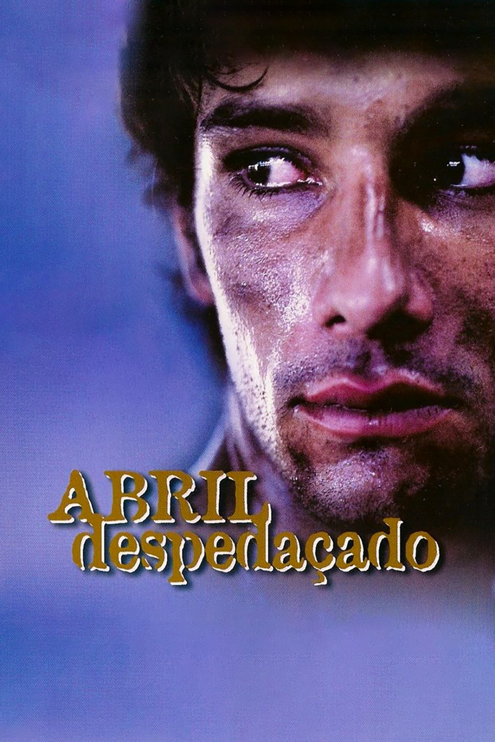 Poster de Abril Despedaçado