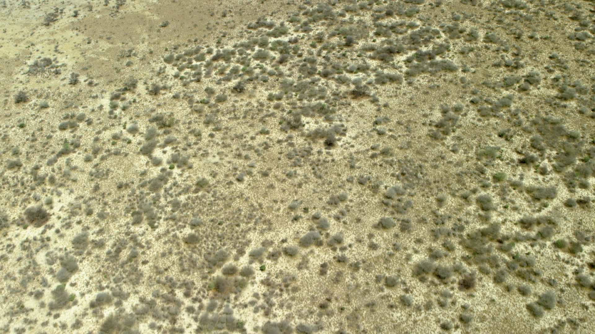 Ultimate adversaries