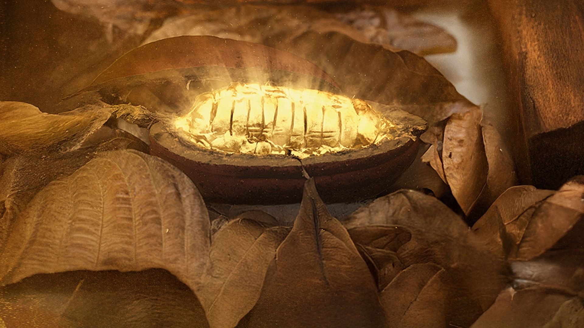 Cacao