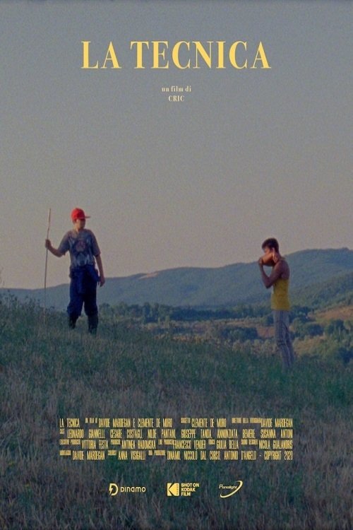 Poster for The Technique