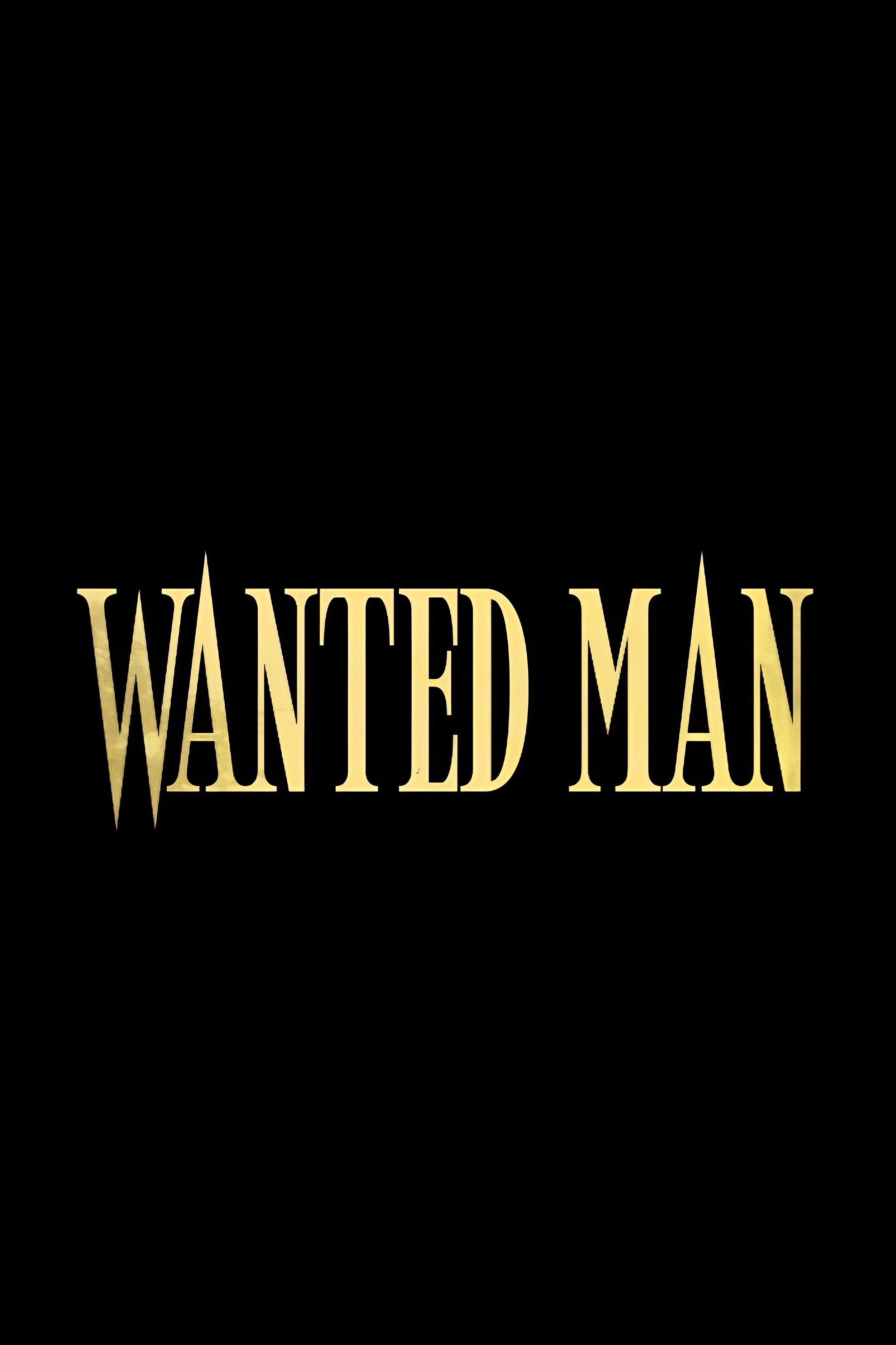 Poster de Wanted Man