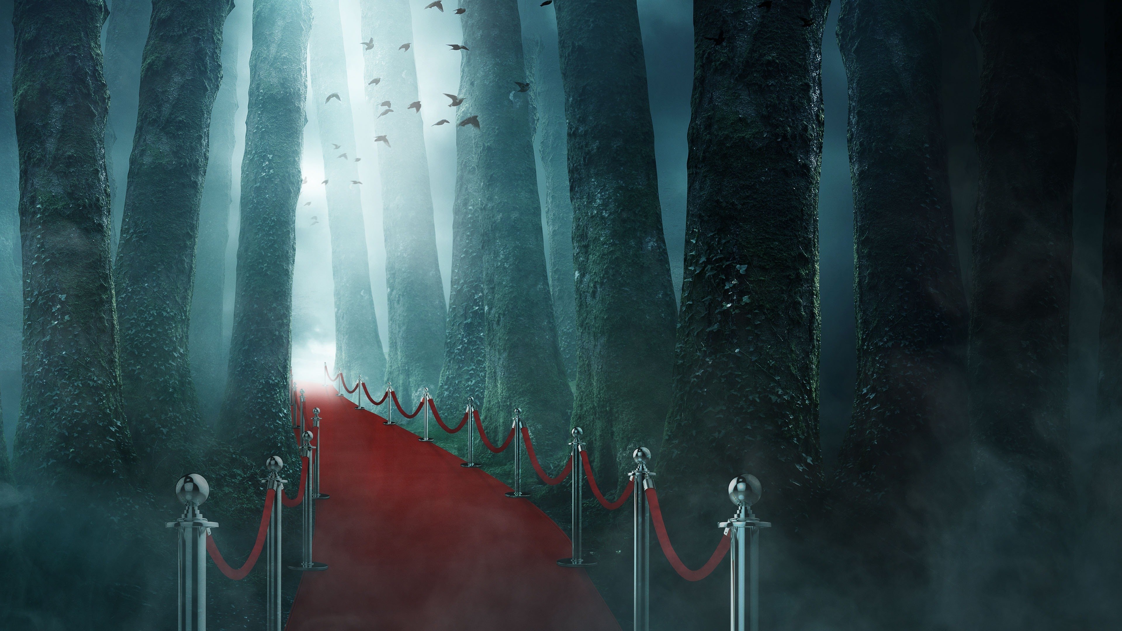 Backdrop image
