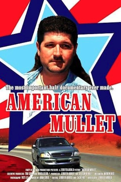 Poster de American Mullet