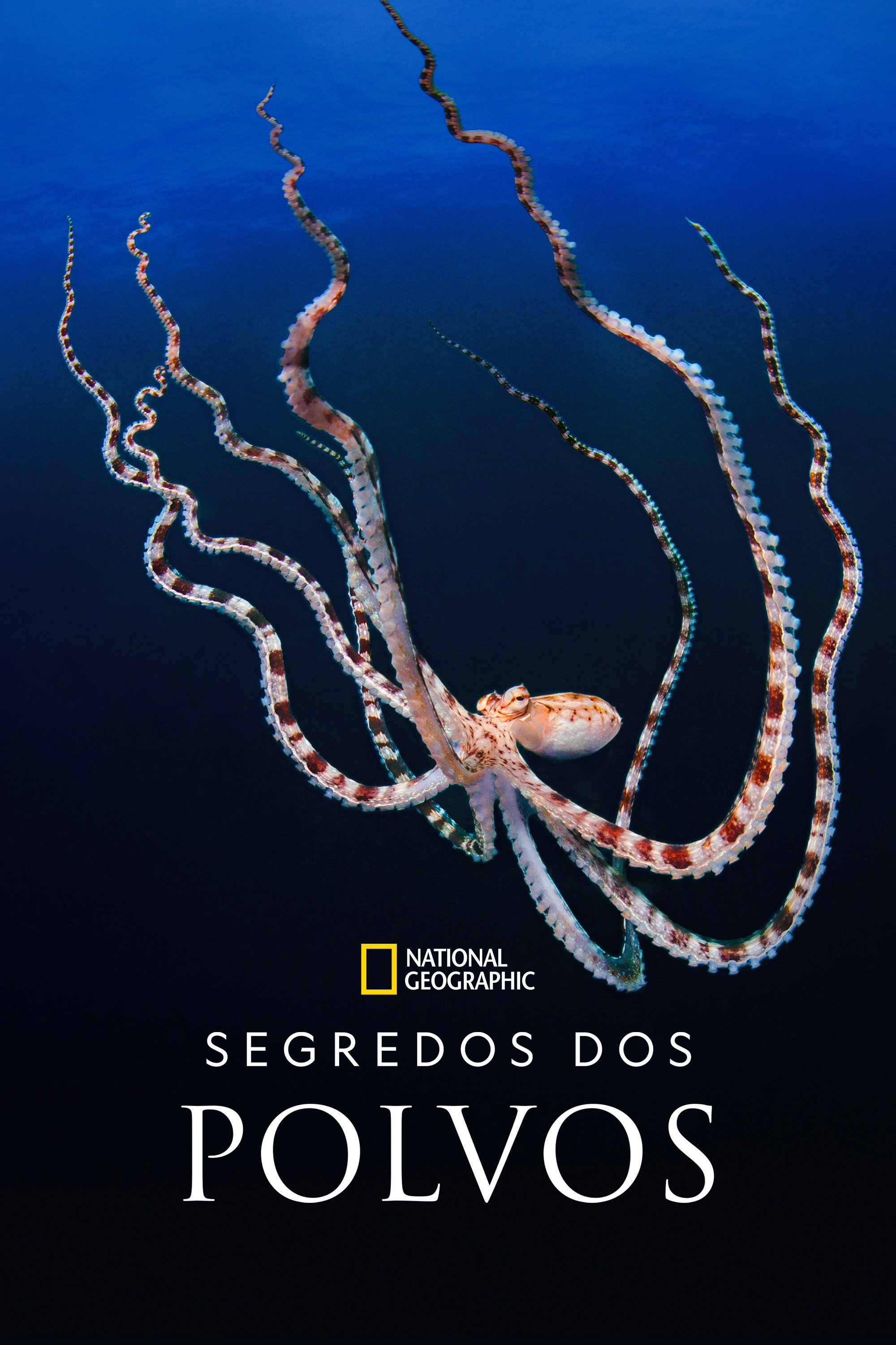 Poster de Segredos dos Polvos