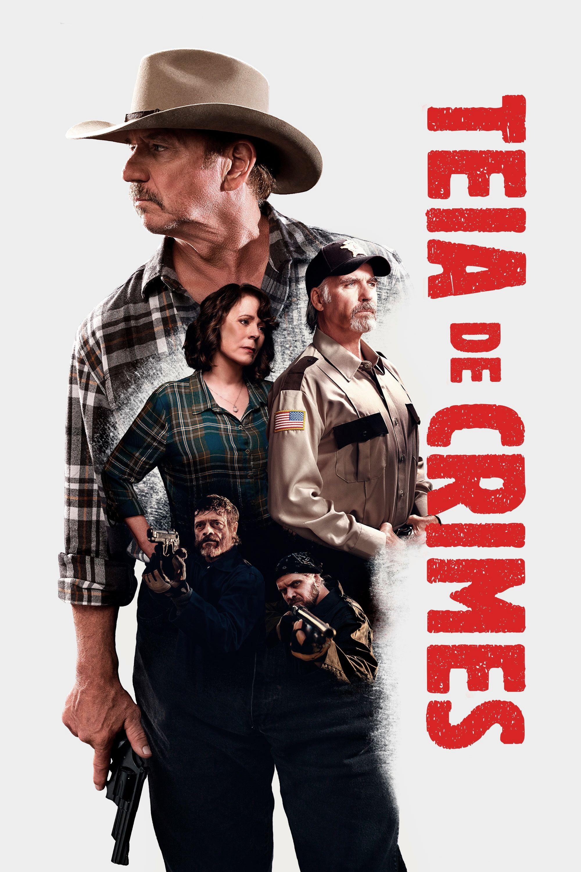 Poster de Teia de Crimes
