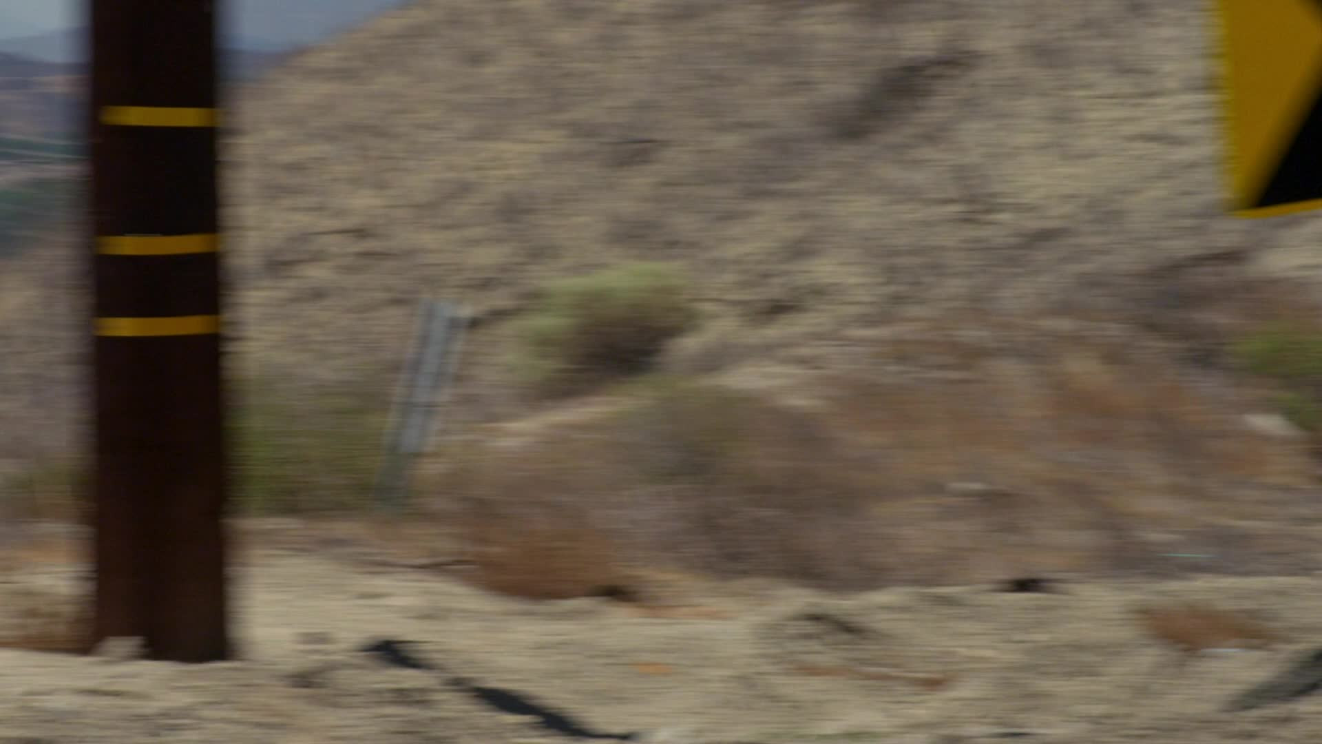 Mentes criminales 9×5