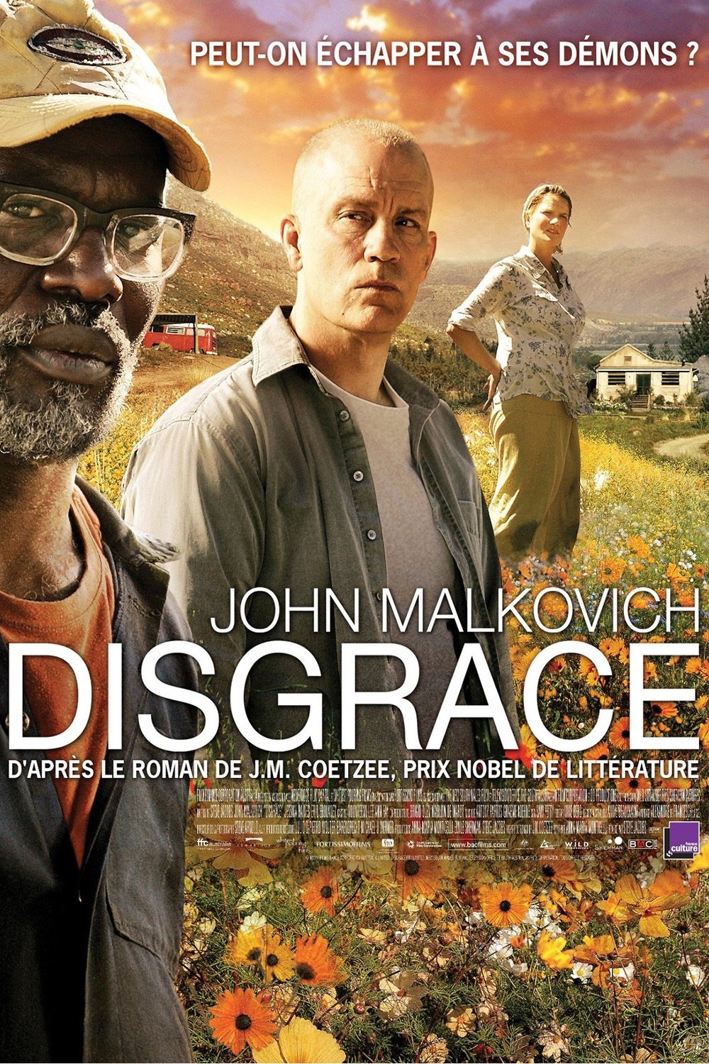 Affiche du film Disgrace