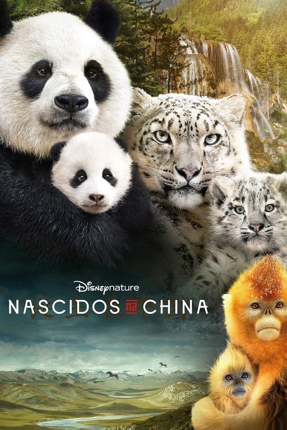 Poster de Nascidos na China