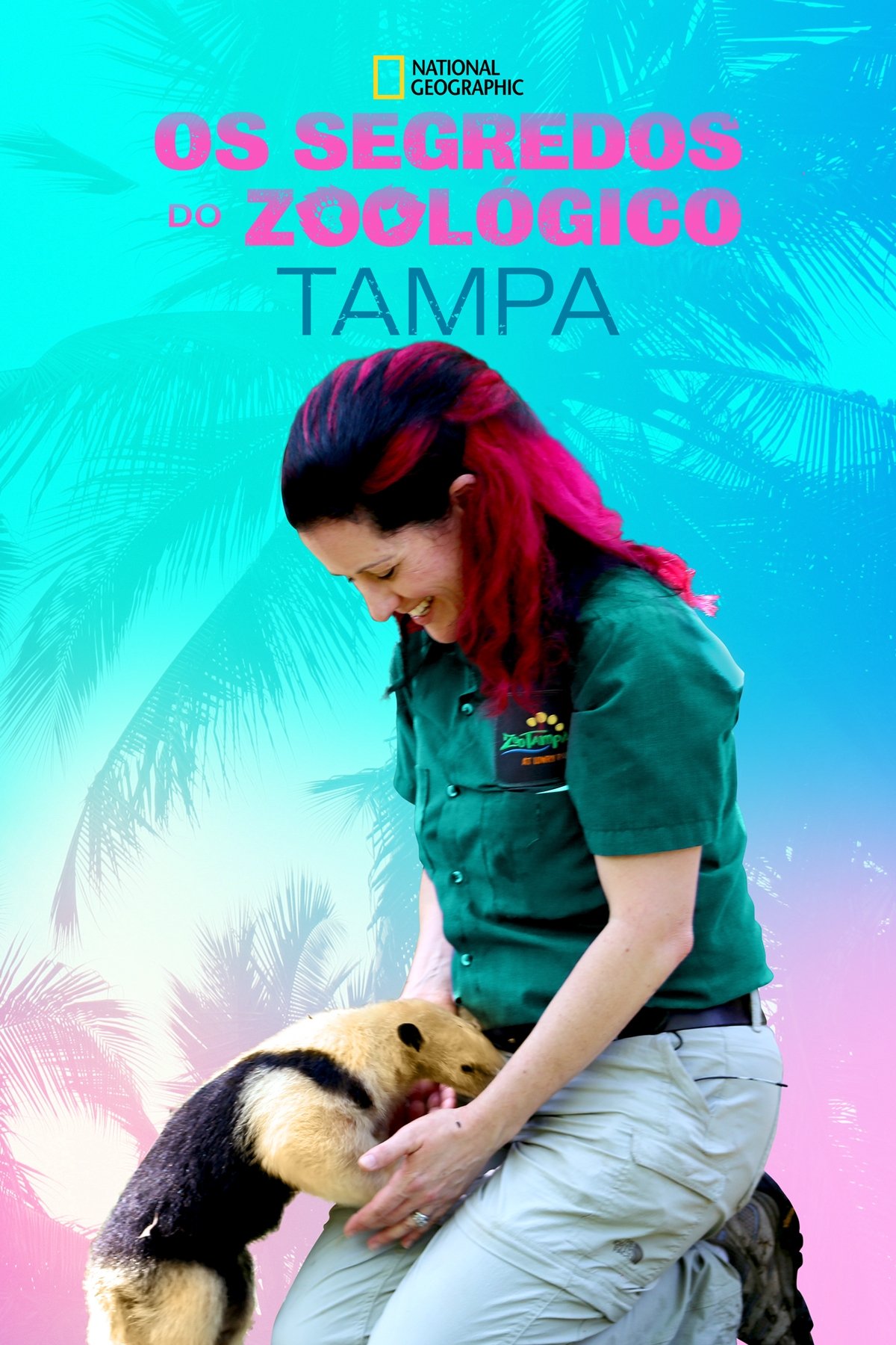 Poster de Os Segredos do Zoológico: Tampa