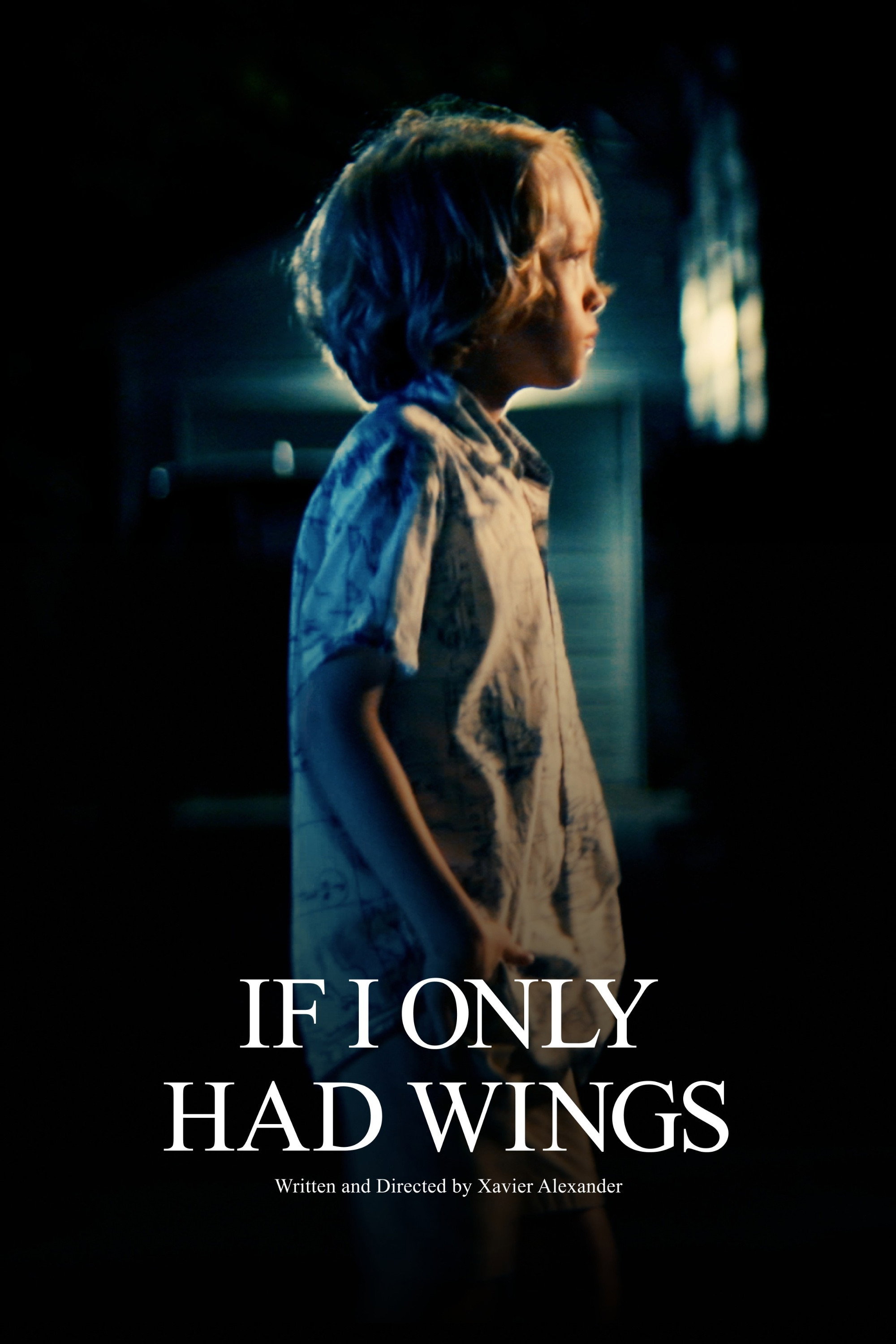 If I Only Had Wings