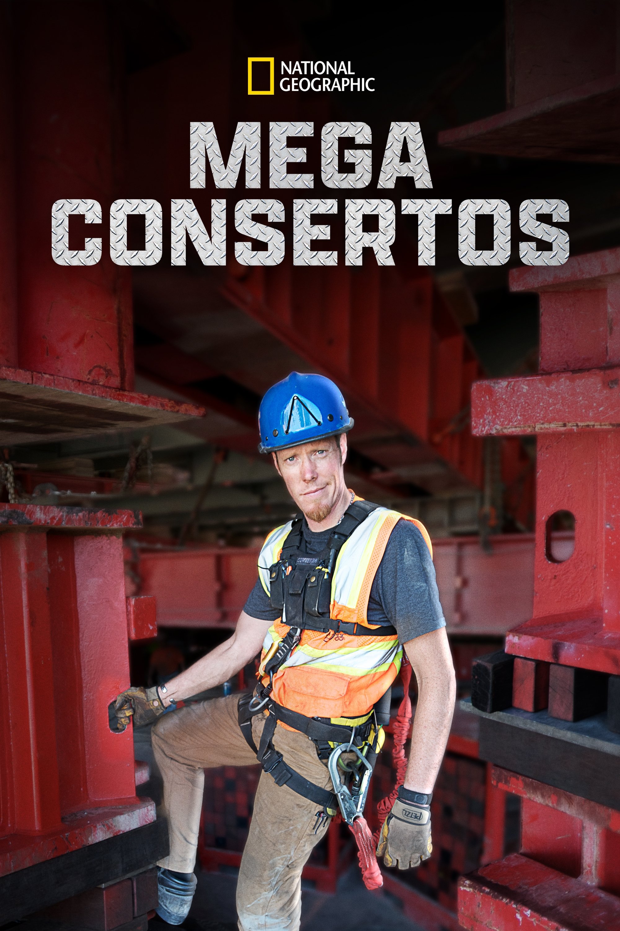 Poster de Mega Consertos
