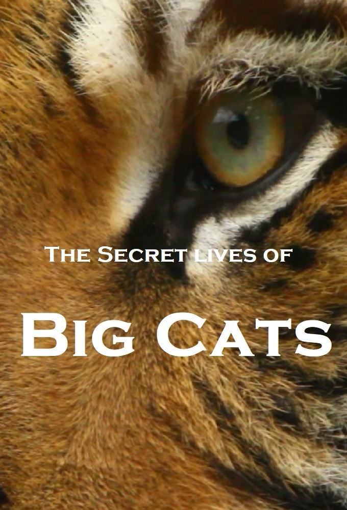 Poster de The Secret Lives Of Big Cats