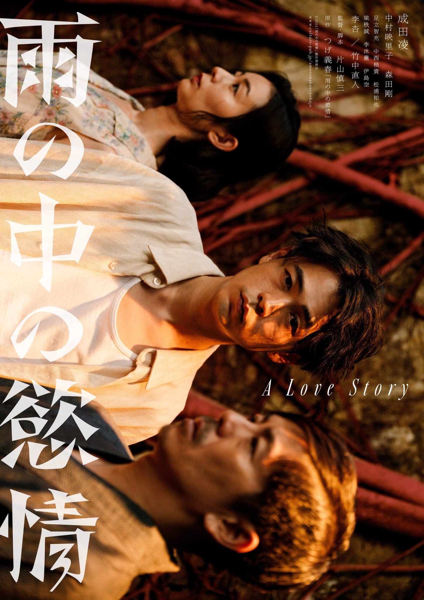 Poster de 雨の中の慾情