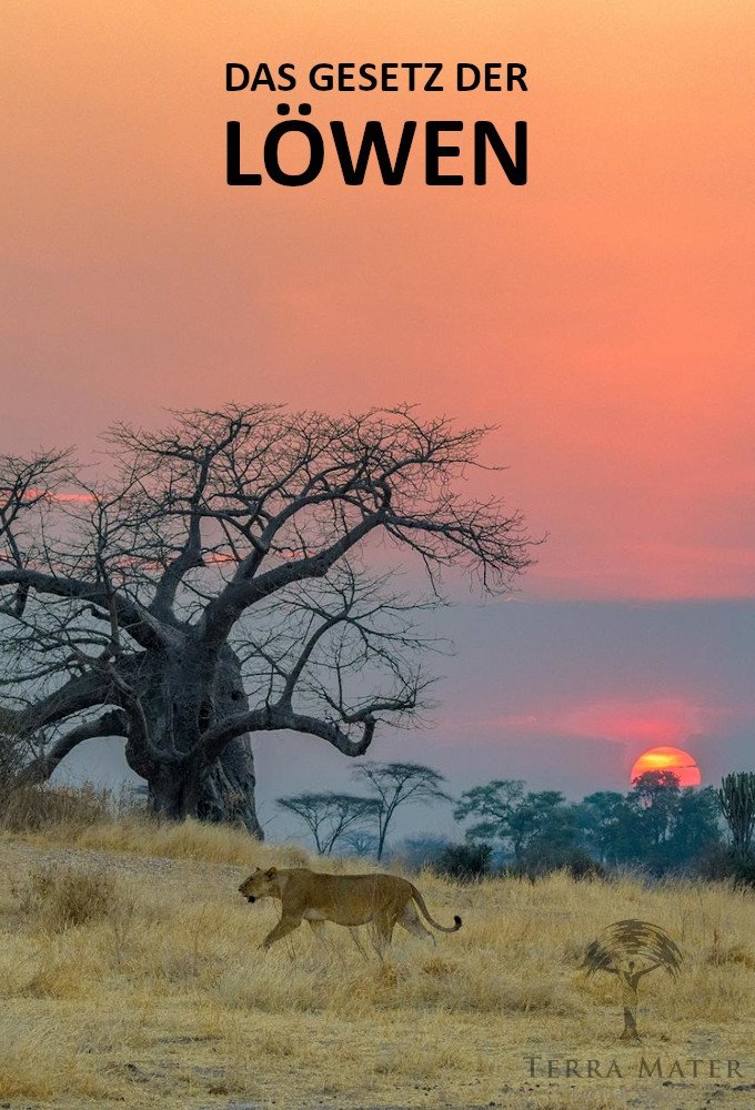 Poster de Das Gesetz der Löwen