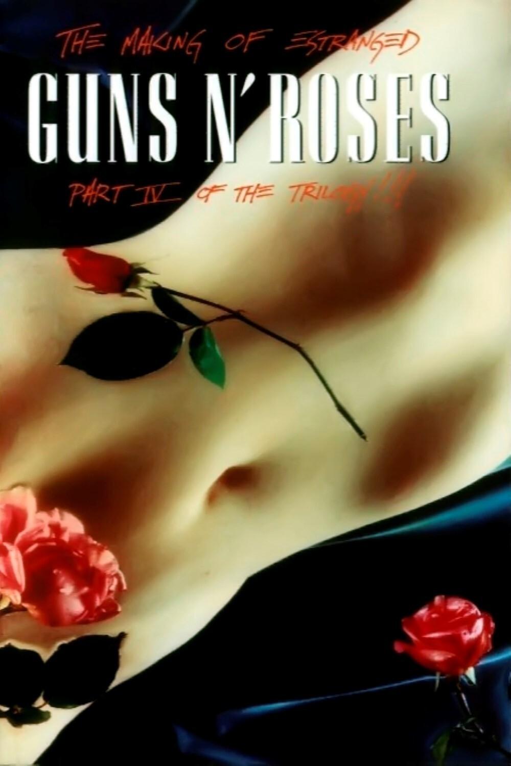 Poster de Guns N' Roses: Makin' F@*!ing Videos Part IV Estranged