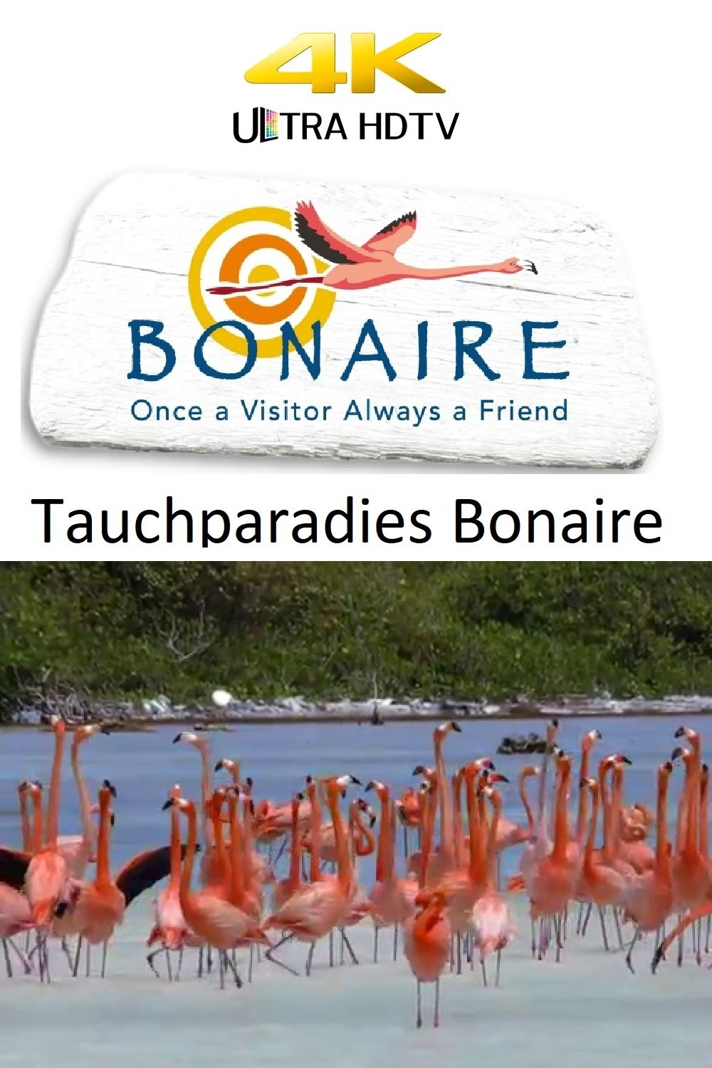 Poster de Tauchparadies Bonaire