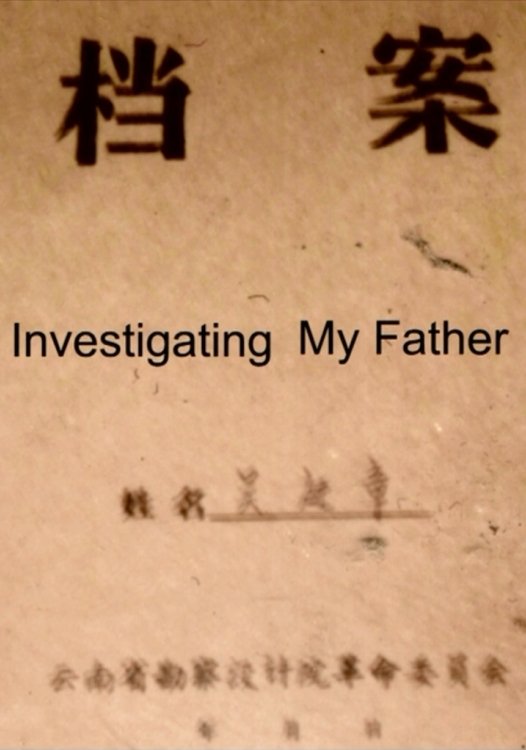 Poster de 調查父親