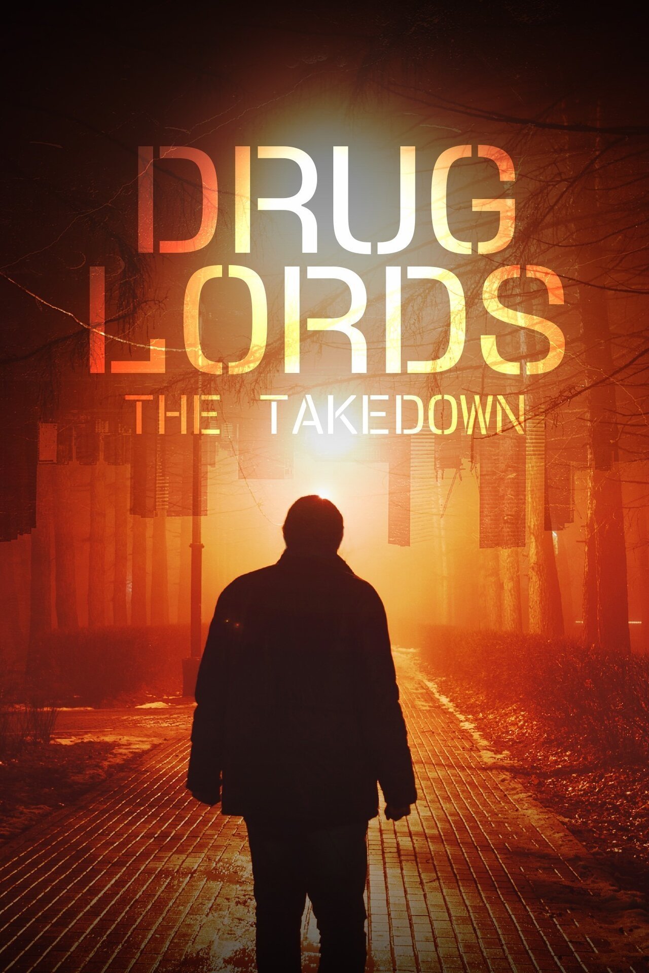 Poster de Chefões do Narcotráfico: A Queda