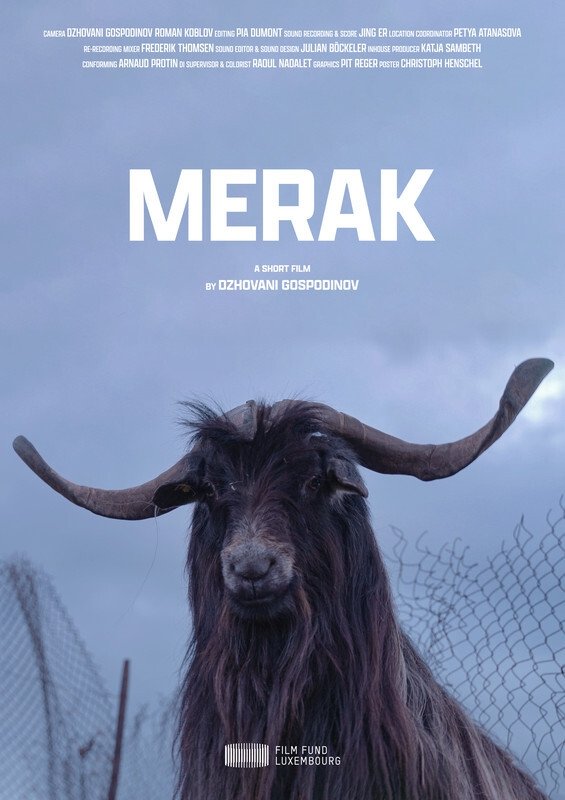 Poster de Merak