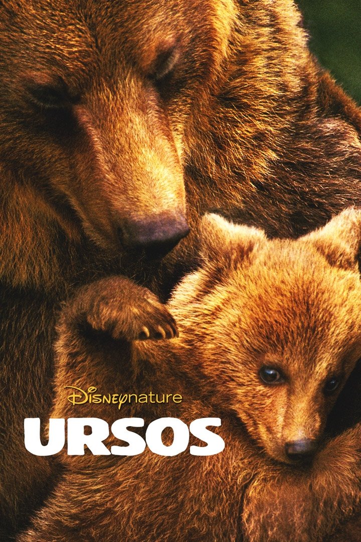Poster de Ursos