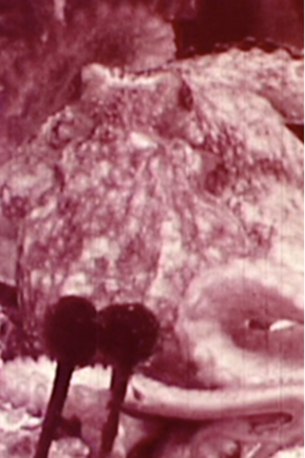 Poster de Aurora Borealis
