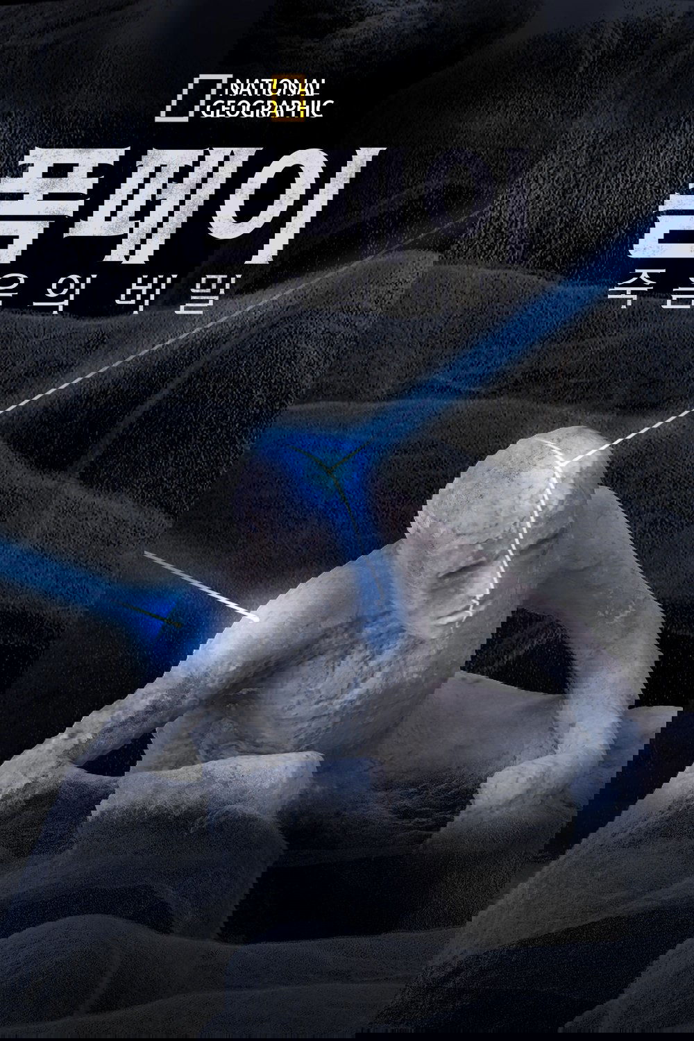 폼페이: 죽음의 비밀