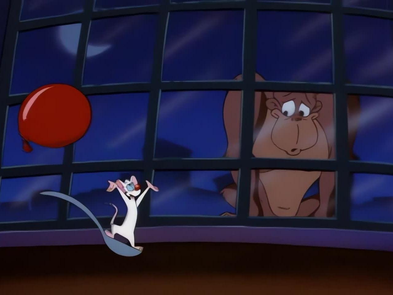 Pinky and the Brain 3×36 – Broadway Malady