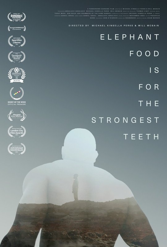 Poster de Elephant Food Is for the Strongest Teeth