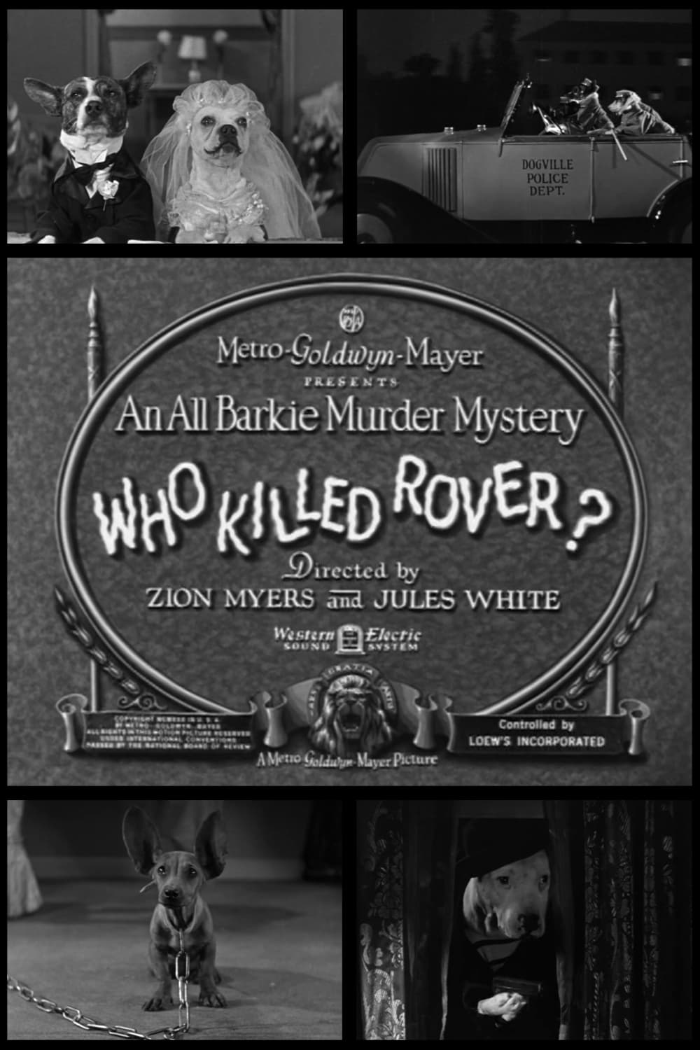 Poster de Who Killed Rover?