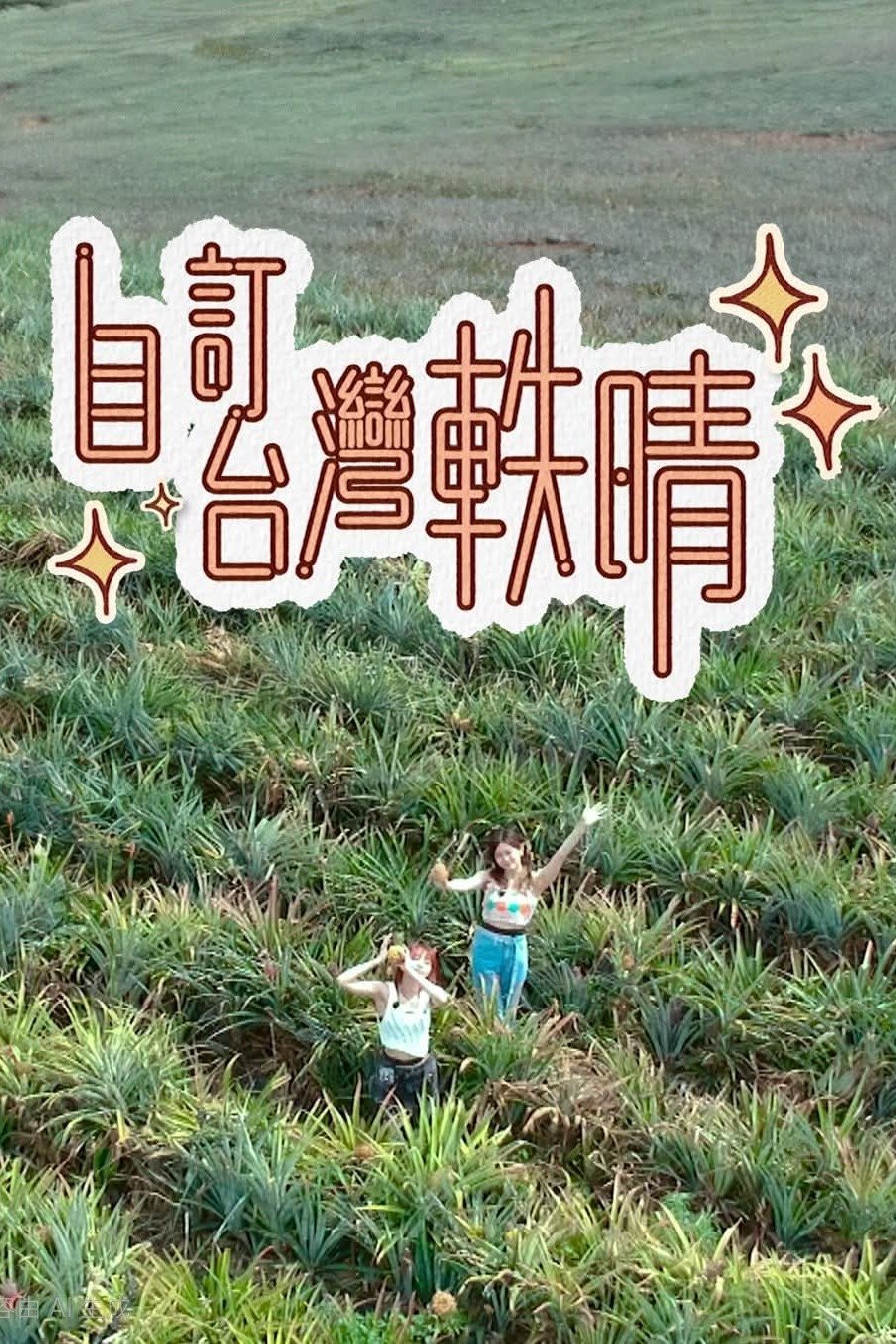Poster de 自訂台灣軼晴