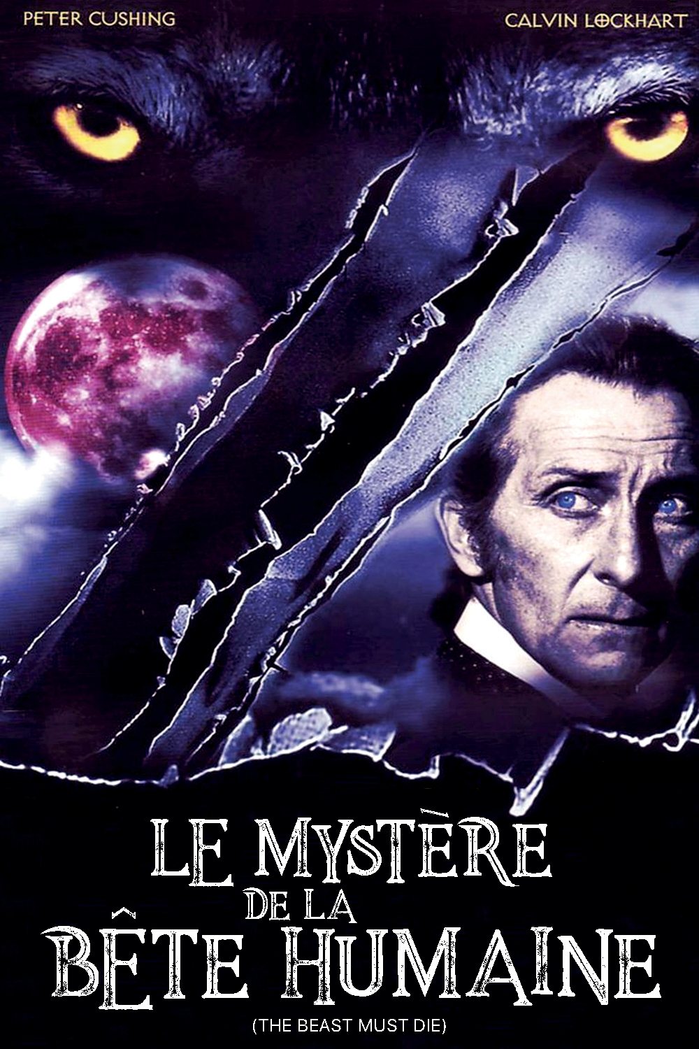 Affiche du film Le Mystère de la bête humaine