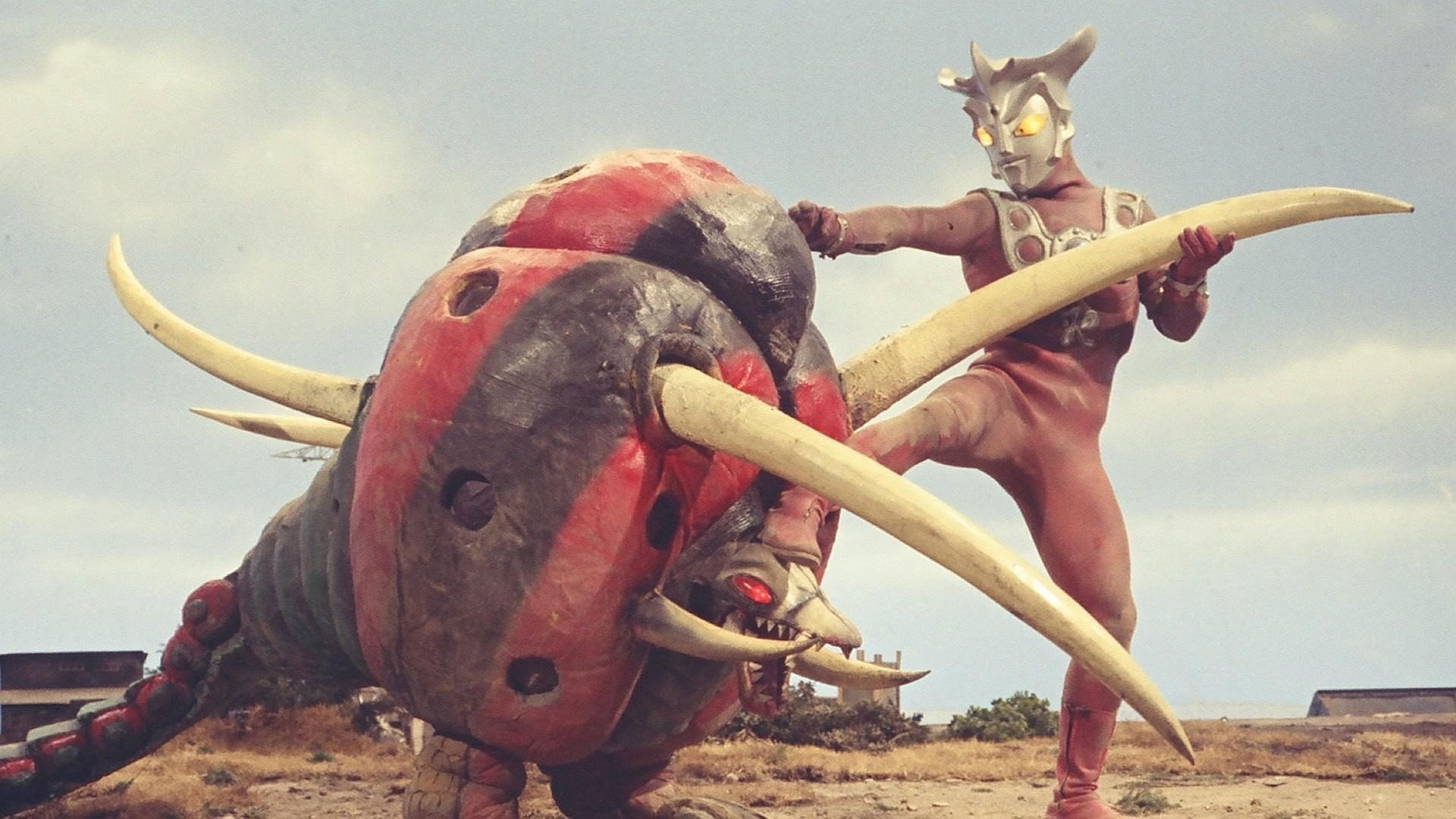 Goodbye Leo! Journey to the Sun