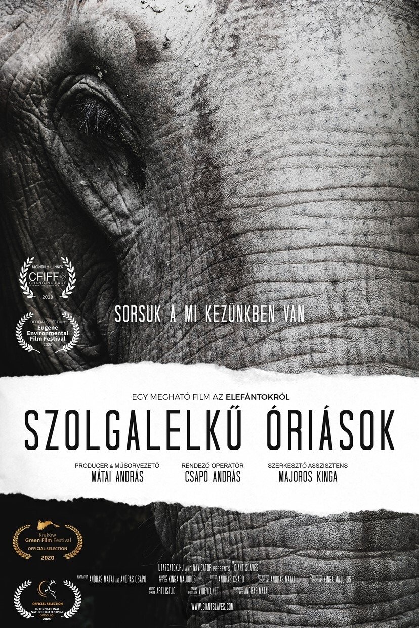 Poster de Szolgalelkű Óriások