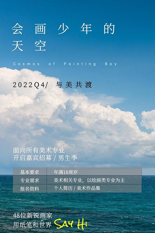 Poster de 会画少年的天空