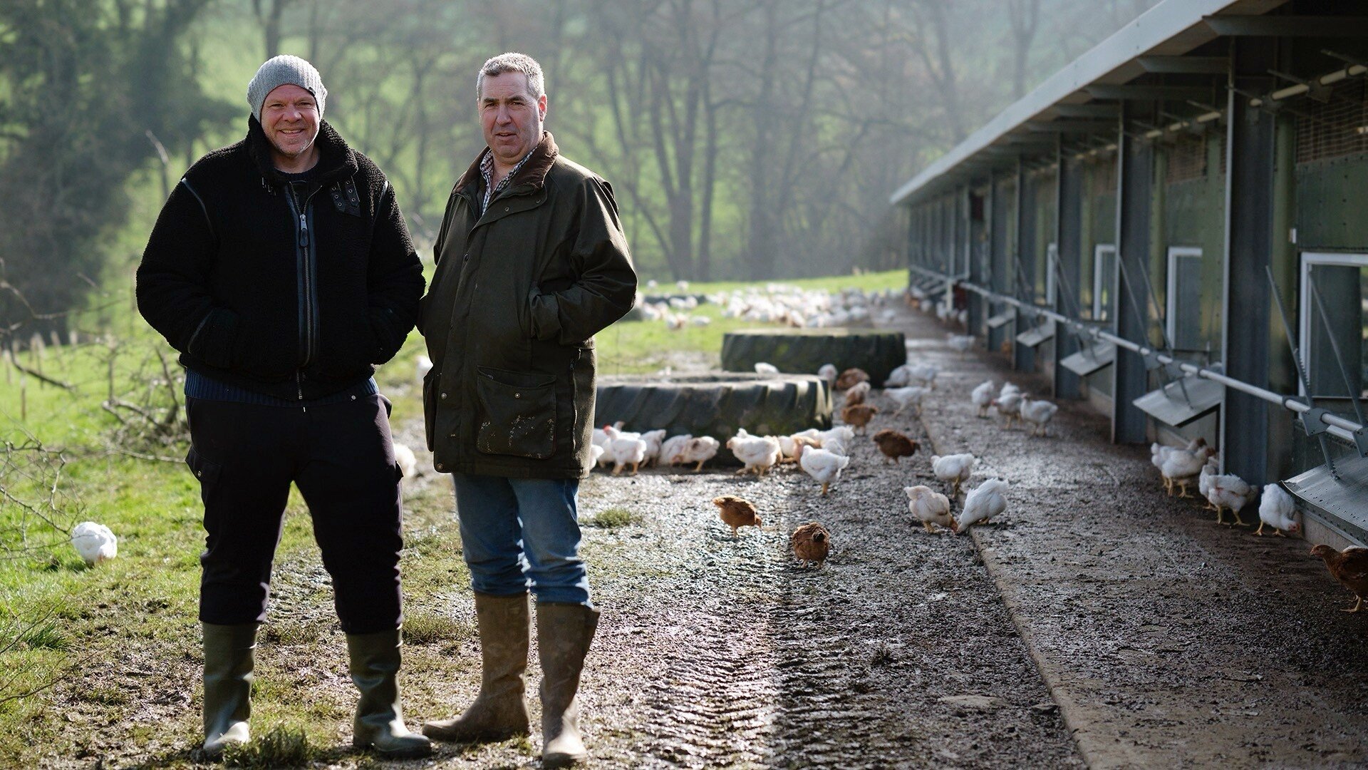Wales to Lancashire - Chicken and Mushrooms
