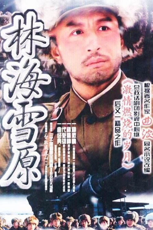 Poster de 林海雪原