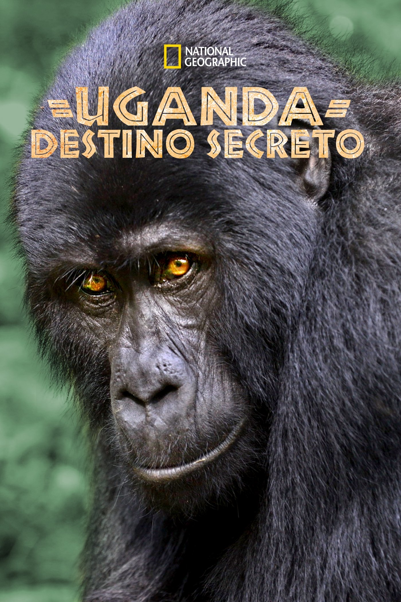 Poster de Uganda: Destino Secreto