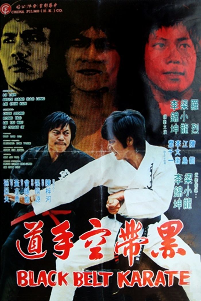 Poster de Karate sabuk hitam