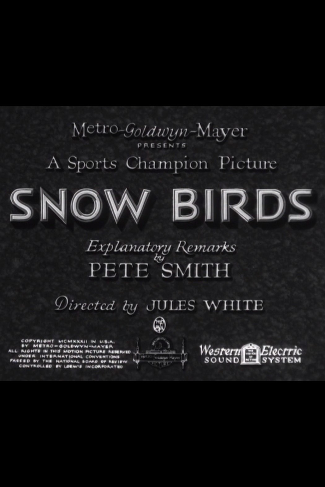 Poster de Snow Birds
