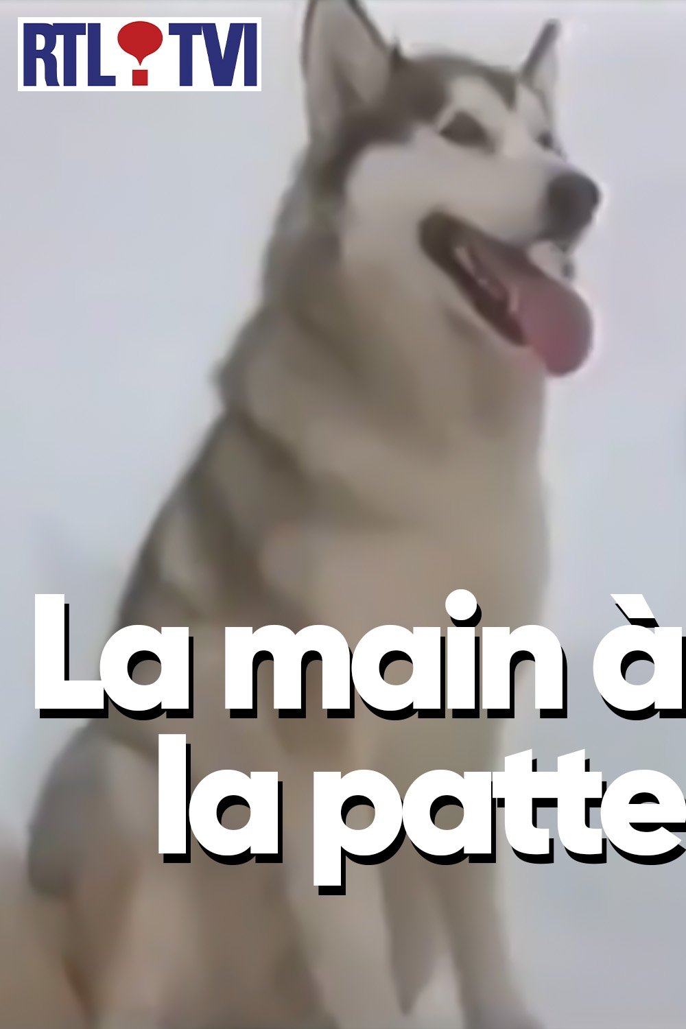 Poster de La main à la patte