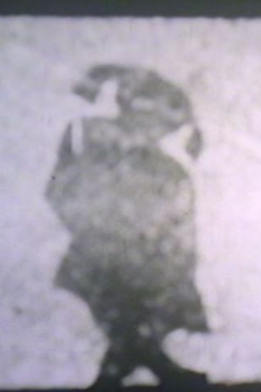 Poster de Monique