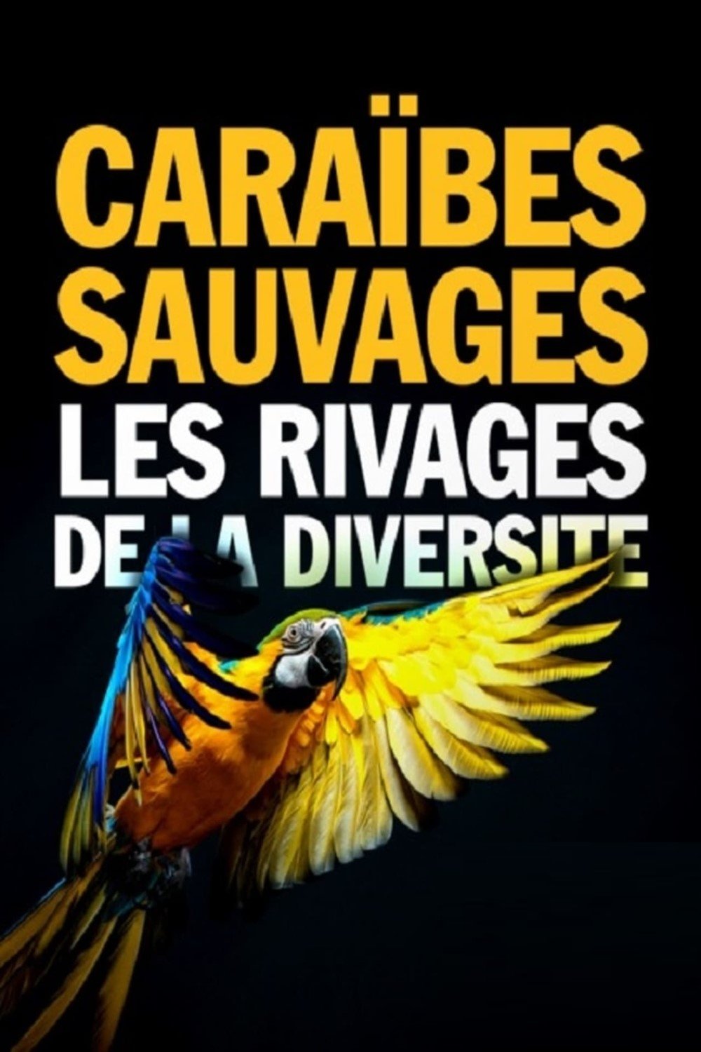 Poster de Caraïbes sauvages, les rivages de la diversité
