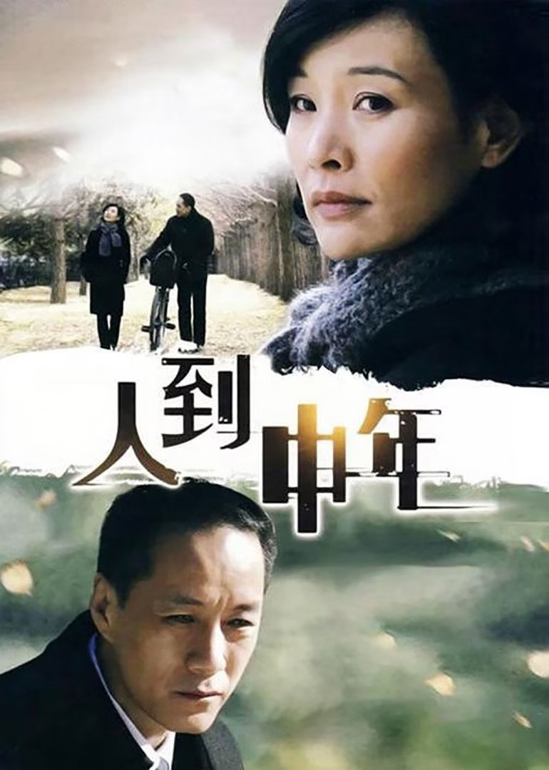 Poster de 人到中年