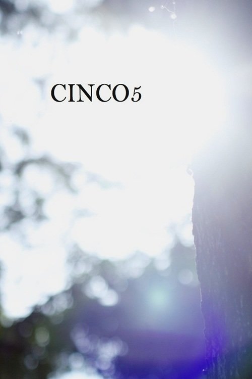 Poster de Cinco5