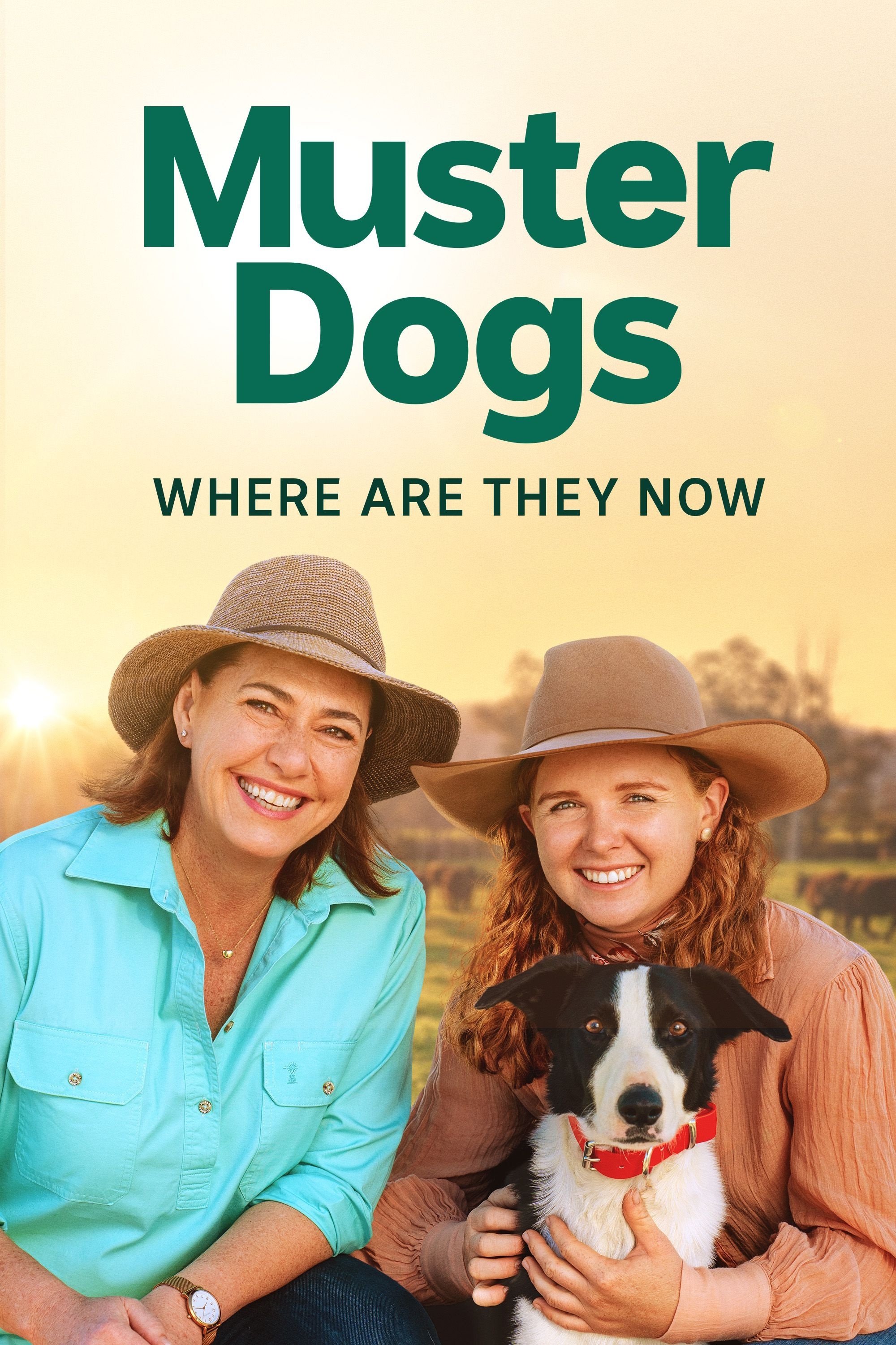 Poster de Muster Dogs: Where Are They Now