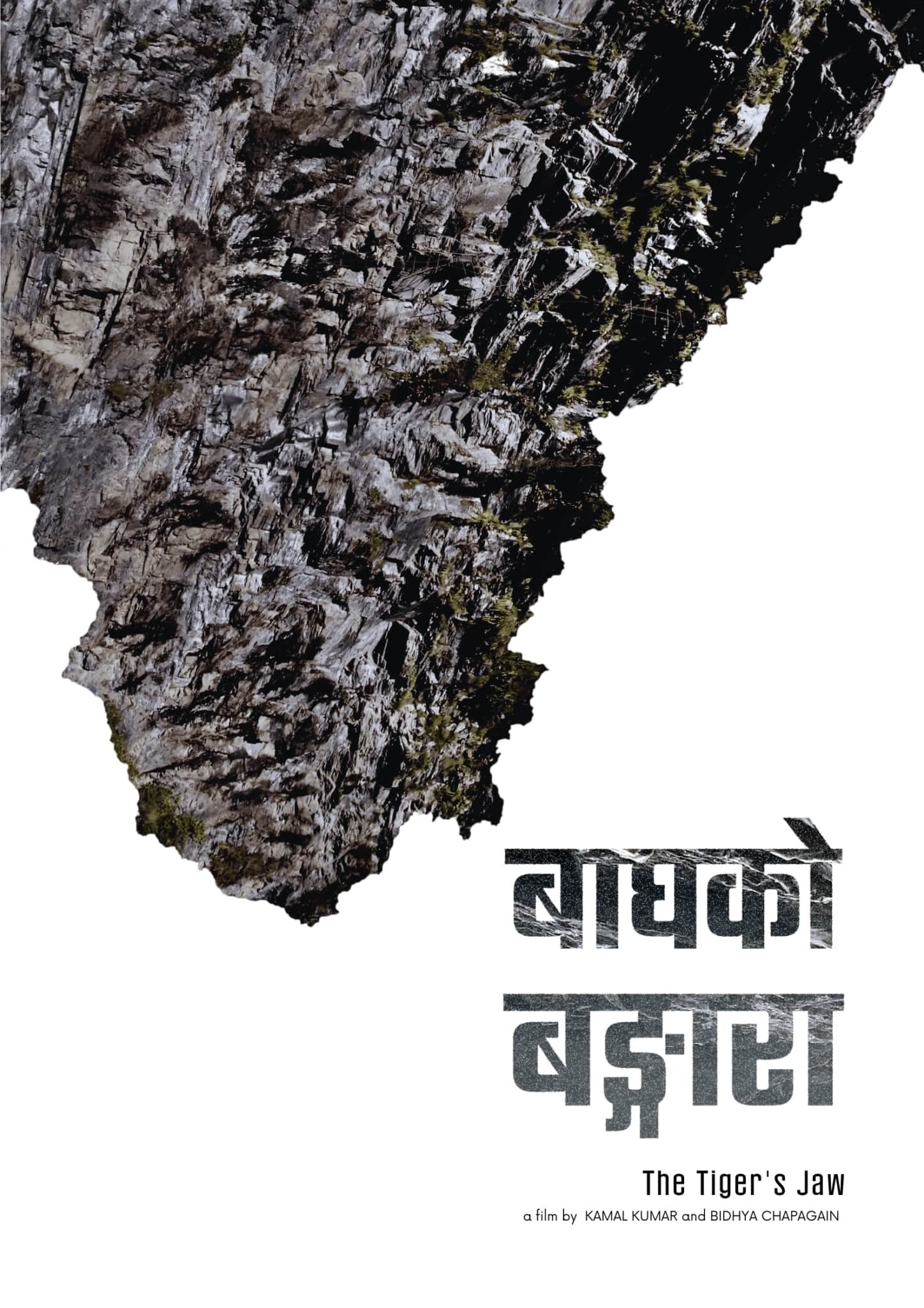 Poster de Bagh ko Bangara